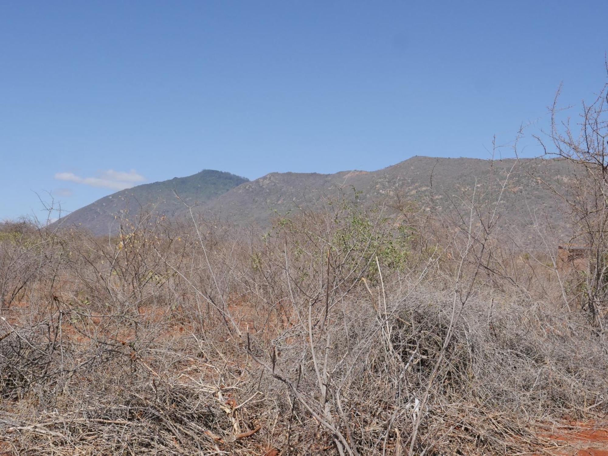 Tausa Tsavo Eco Lodge Voi Bagian luar foto