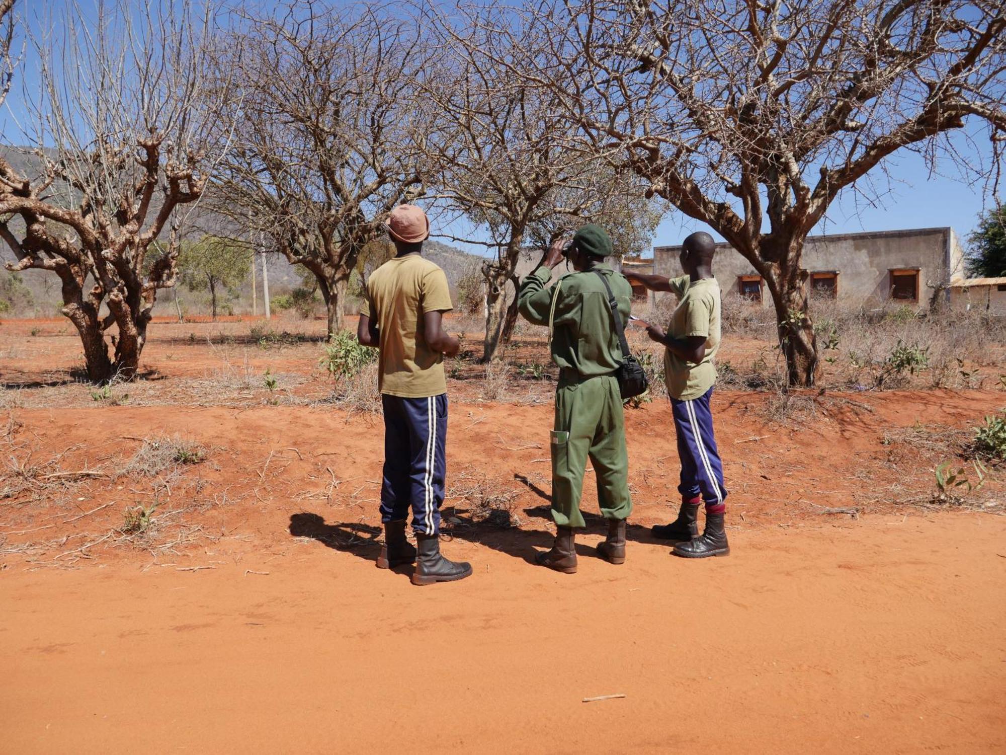 Tausa Tsavo Eco Lodge Voi Bagian luar foto