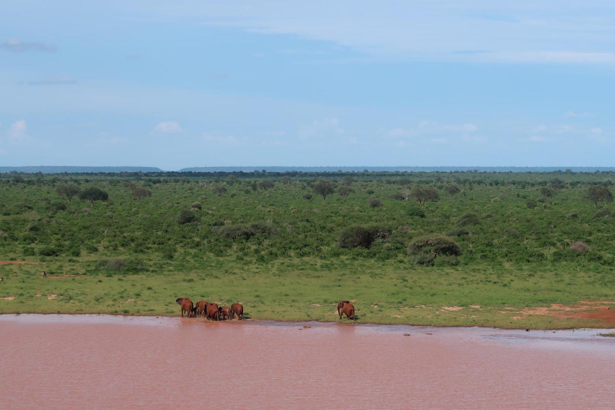 Tausa Tsavo Eco Lodge Voi Bagian luar foto