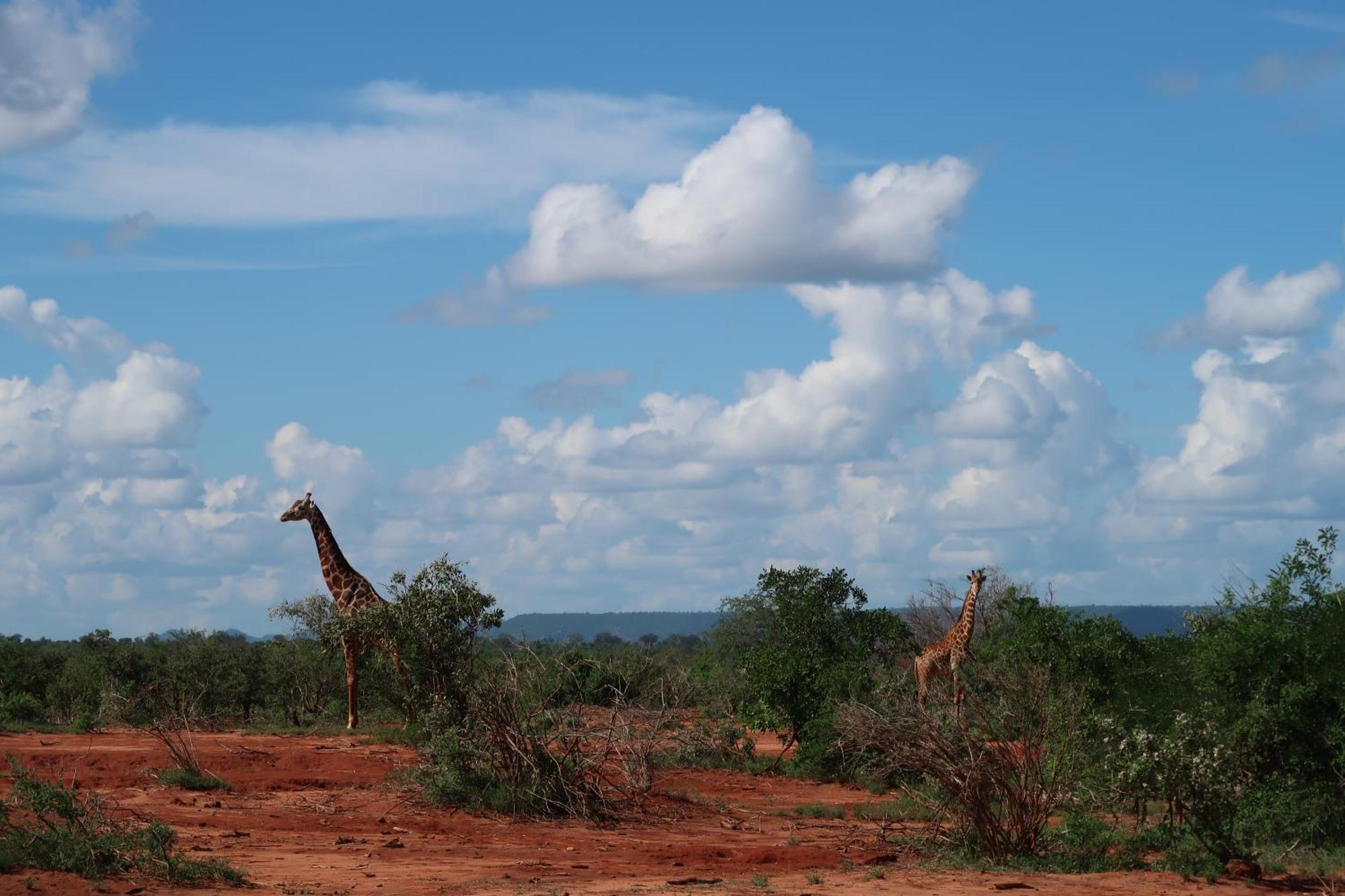 Tausa Tsavo Eco Lodge Voi Bagian luar foto