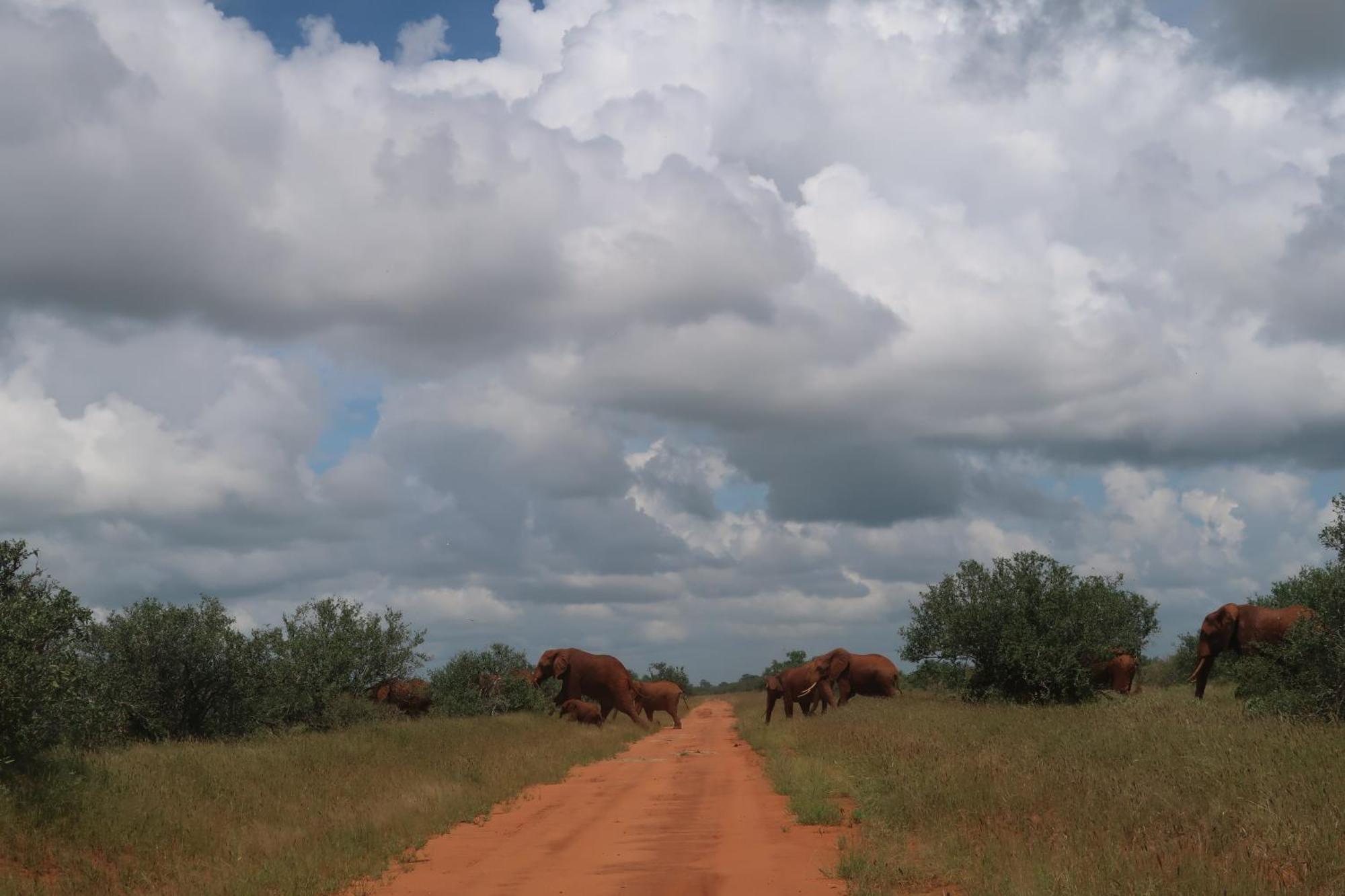 Tausa Tsavo Eco Lodge Voi Bagian luar foto